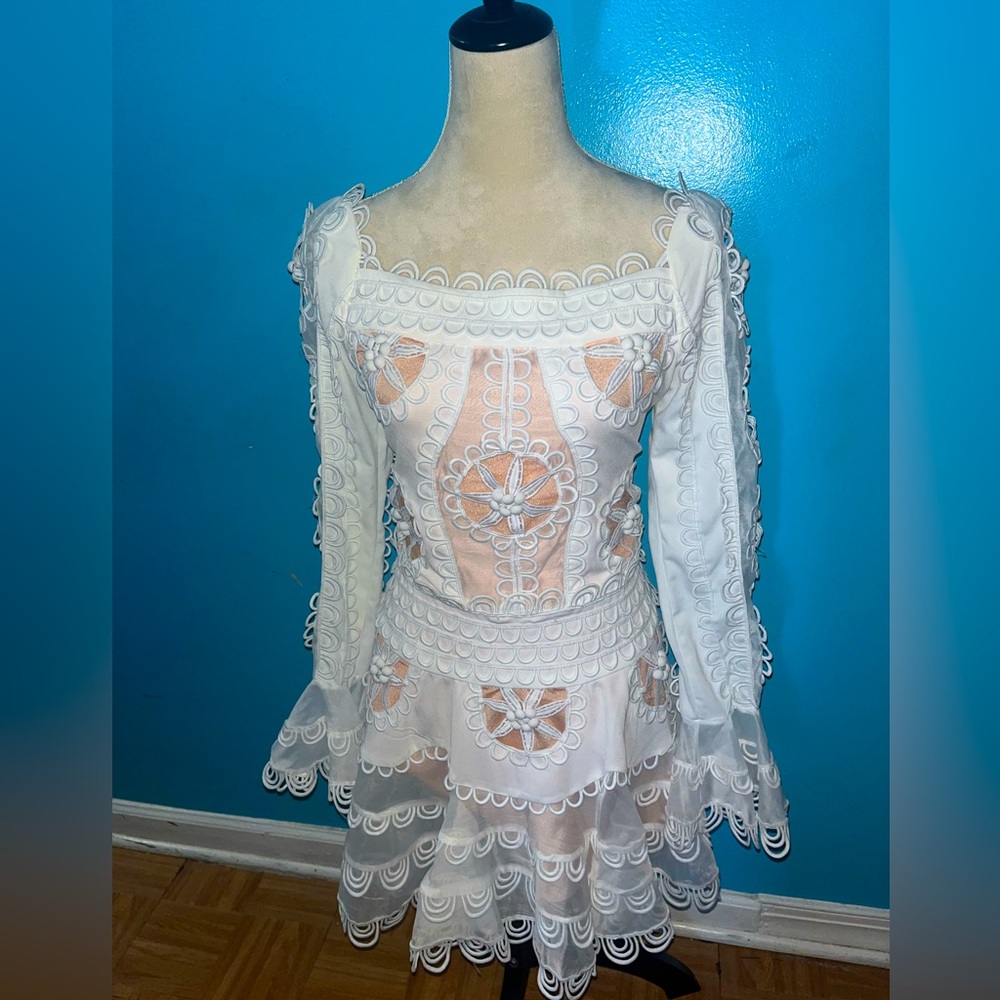 COPY - Nichole Lynel embroidered dress.